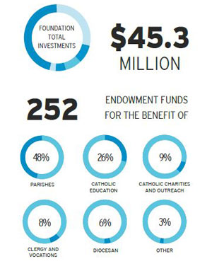 081817 endowments