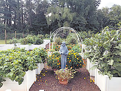 102519 St Francis Mocksville community garden